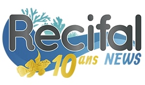 Recifal News Logo