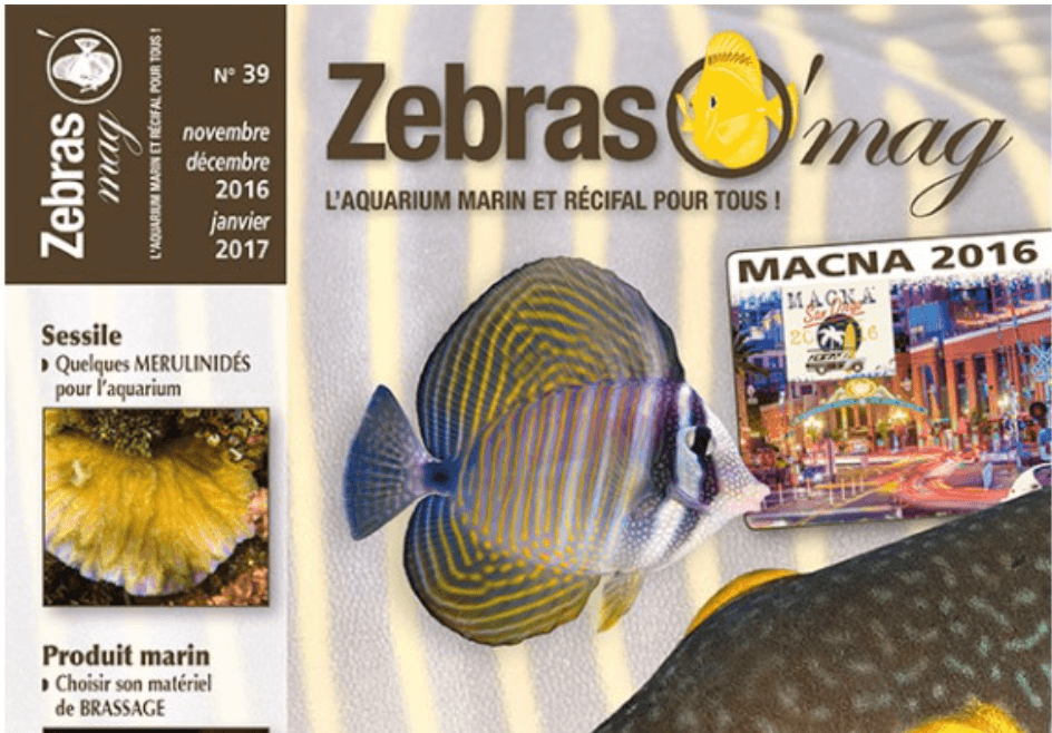 zebraso-mag-n39-couv