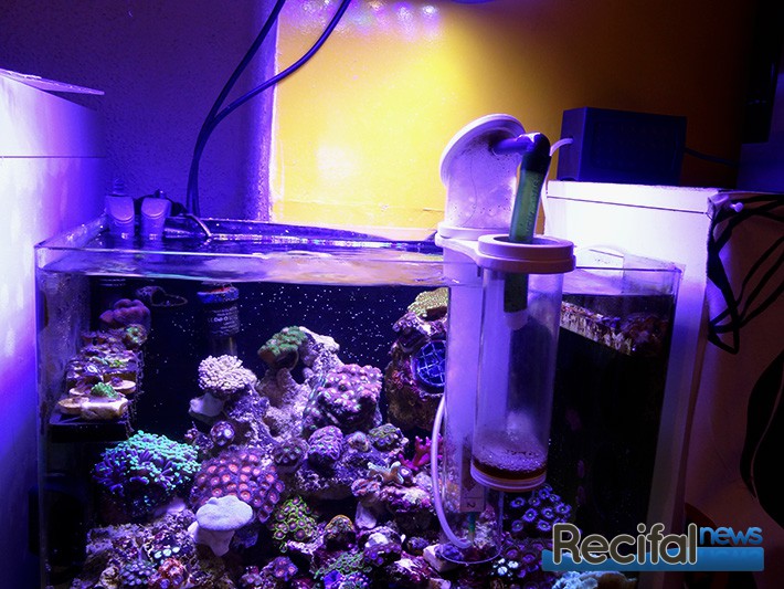 Ventilateur d'aquarium LAFGUR, refroidisseurs d'aquarium, muet pour  renforcer la ventilation Aquarium augmentant la teneur en dioxyde de  carbone Aquarium 
