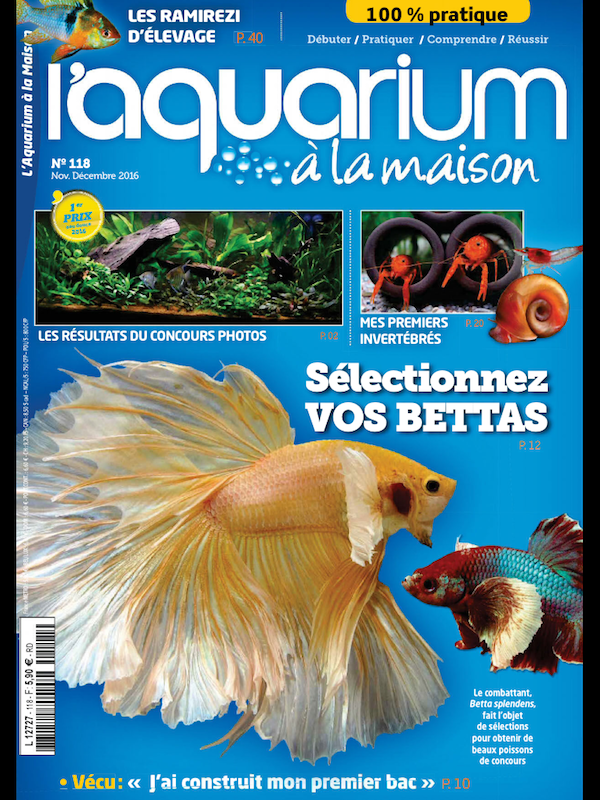 L´Aquarium à la maison nmr 118