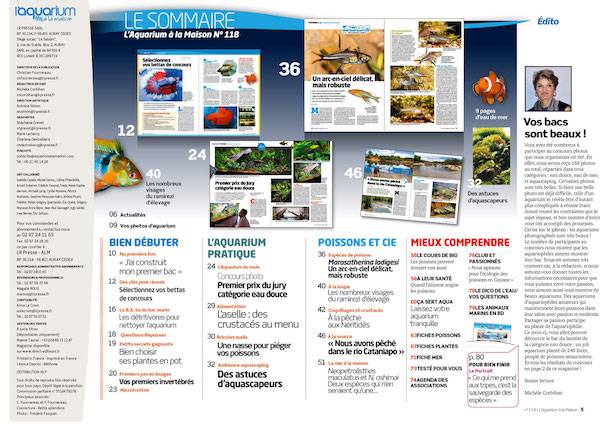 L´Aquarium à la maison n° 118