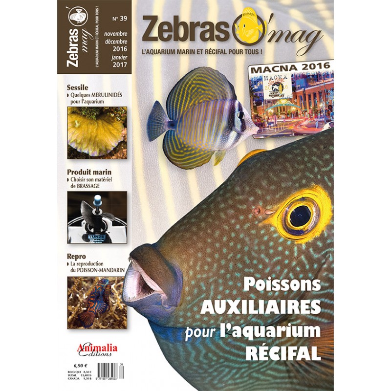 zebraso-mag-n39