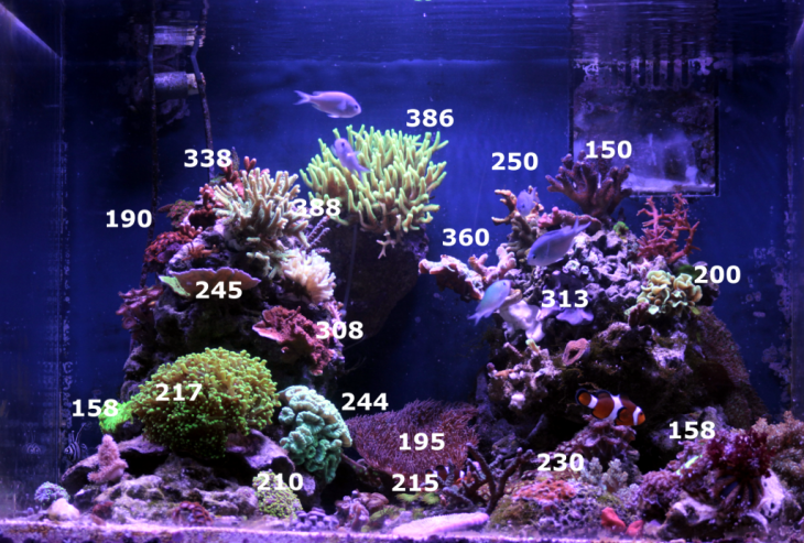 30blanc100-blanc-par