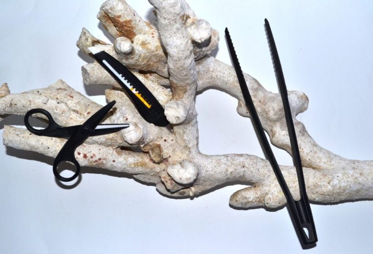 Une photo de famille avec les 3 outils