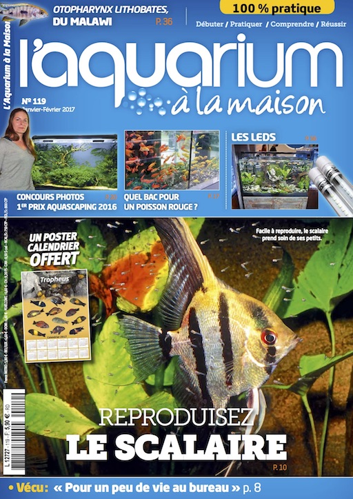nmr 119 de l'Aquarium à la maison