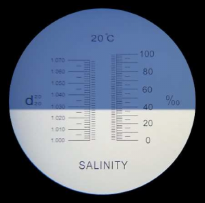 Mesurer facilement et correctement la salinité