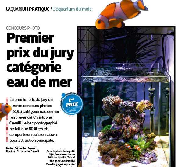 Concours Photo Eau De Mer Daquarium à La Maison N 120