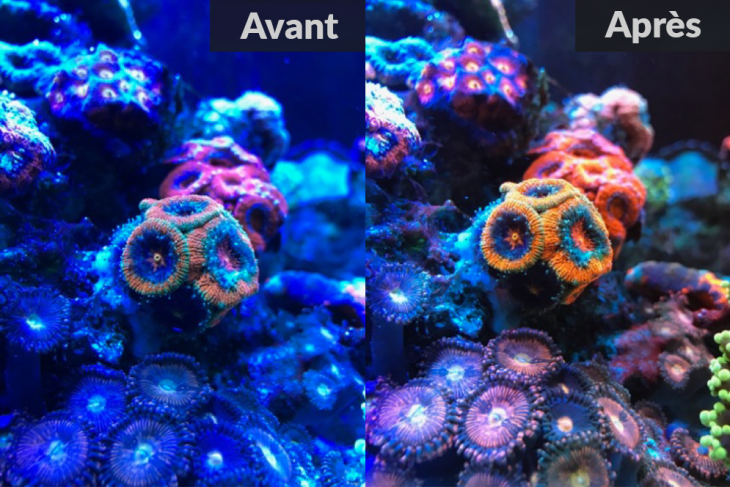 Aquariclip Avant Apres