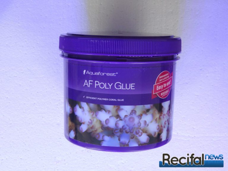 Test de la colle polymère AF Poly Glue d'Aquaforest - Récifal News