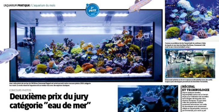 Aquarium à la maison Aquarium du mois Emmanuel
