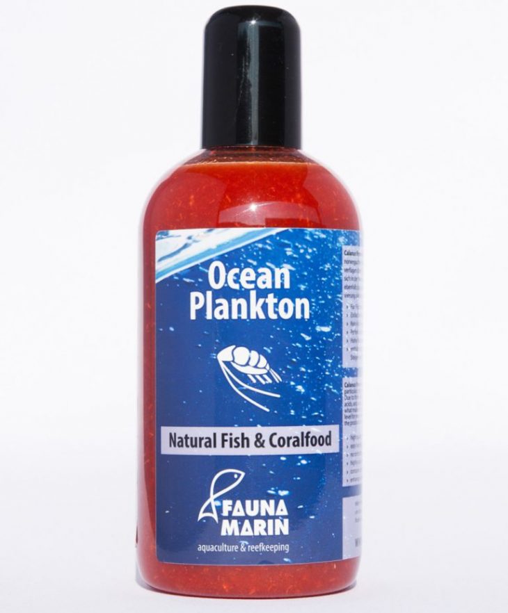 Fauna Marin - Ocean Plankton