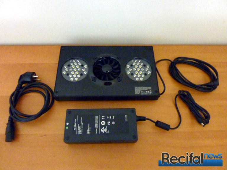 12 months with the Ecotech Radion XR30W pro G4 LED | Récifal News