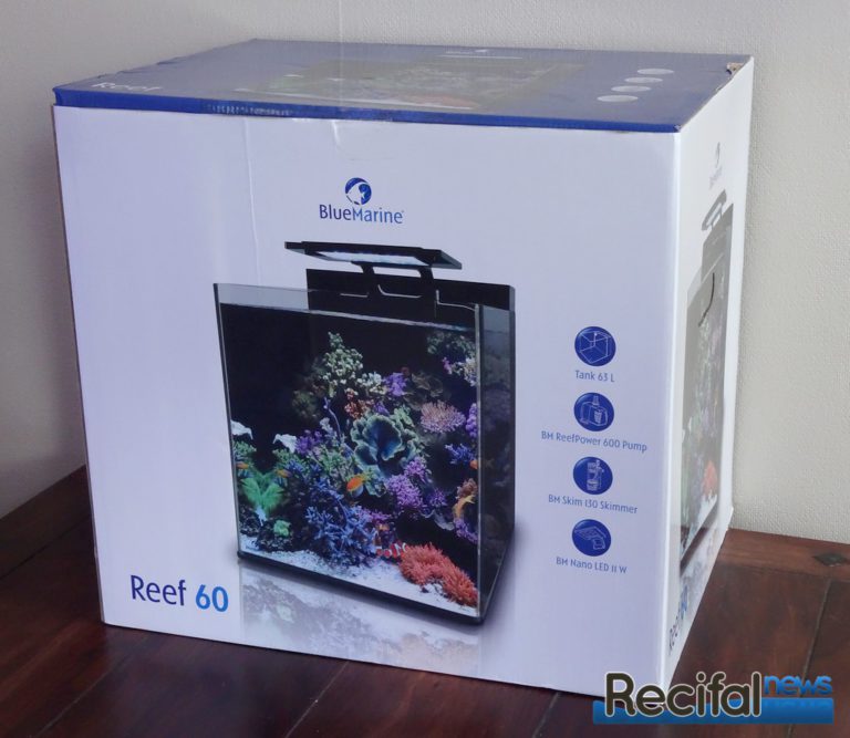Kit complet Nano Bluemarine Reef 60 Récifal News