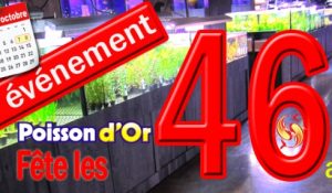 Poisson d'or 46 ans