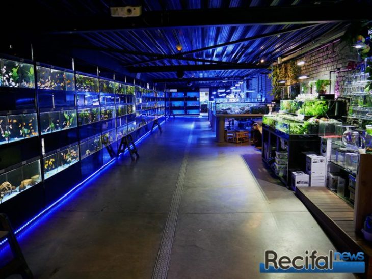 aquavictoire_menin_vivant_recifalnews