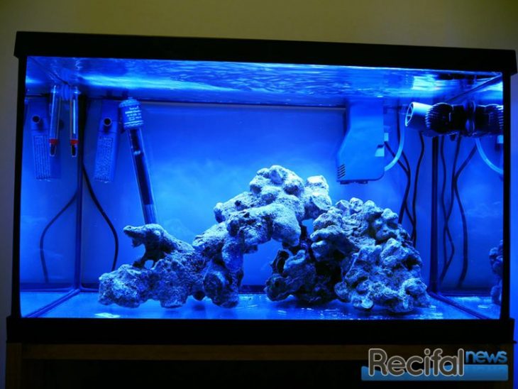 eheim_aquastar63_marine_recifalnews hardscape
