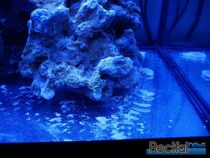 eheim_aquastar63_marine_recifalnews sediments