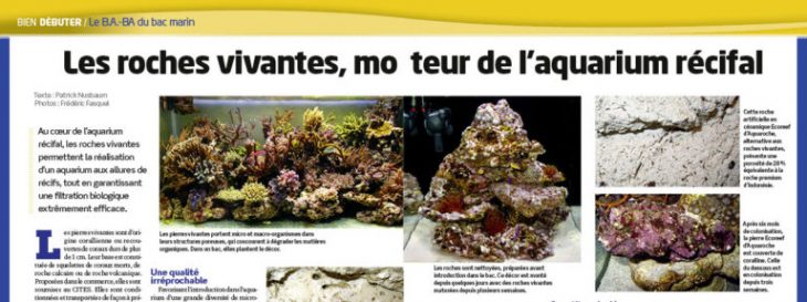 Aquarium à la maison roches