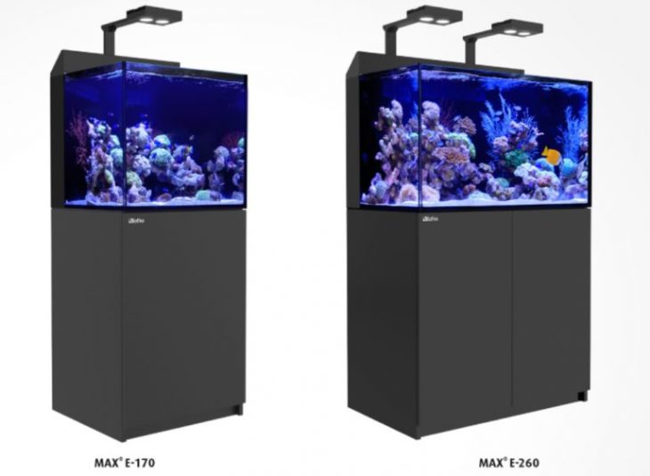 marque generique - Filet de pêche d'aquarium épuisette pour aquarium -  Aquarium - Rue du Commerce