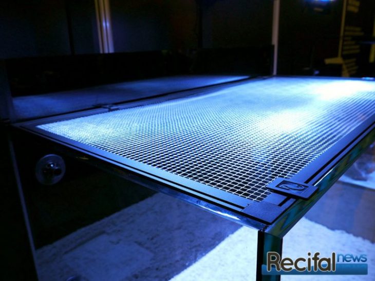 red sea filet protection aquarium 