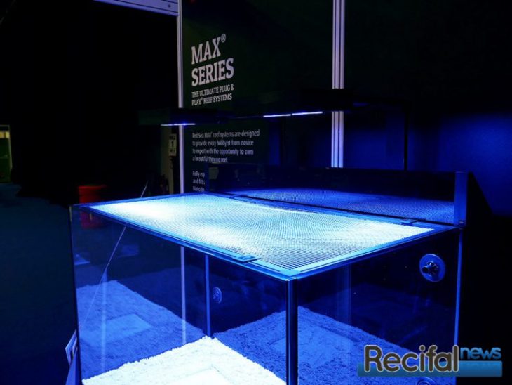 red sea filet protection aquarium 