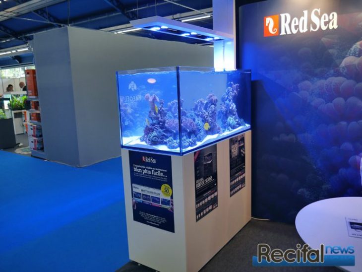 red sea peninsula ai hydra hd