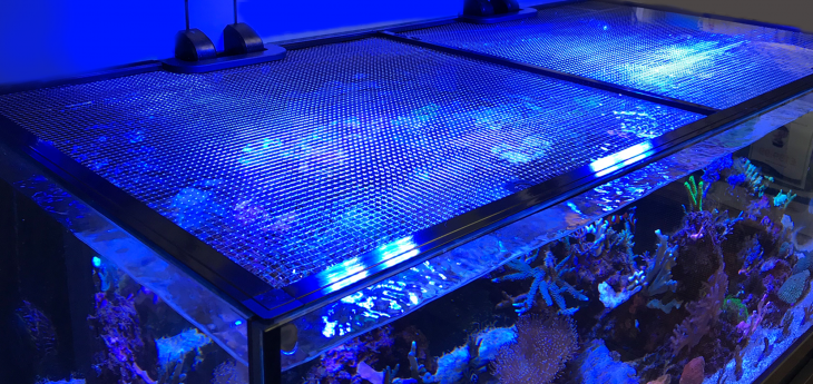 Jumpguard D&D Aquarium Solution