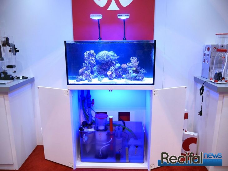 Octo Lux 90