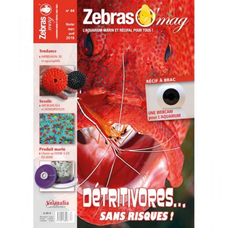 ZebrasO'mag 44
