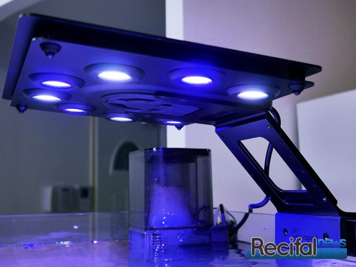 Maxspect Ethereal