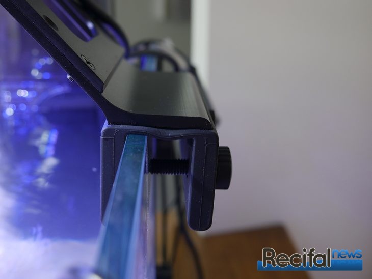 Maxspect Ethereal pied