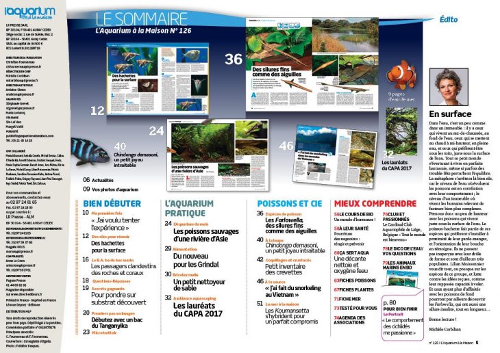 aquarium à la maison 126 sommaire