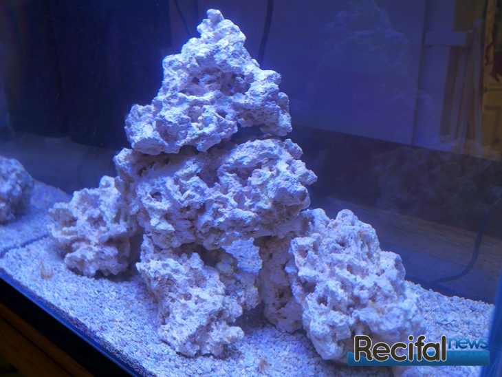 ADA aquarium récifal marin ADA