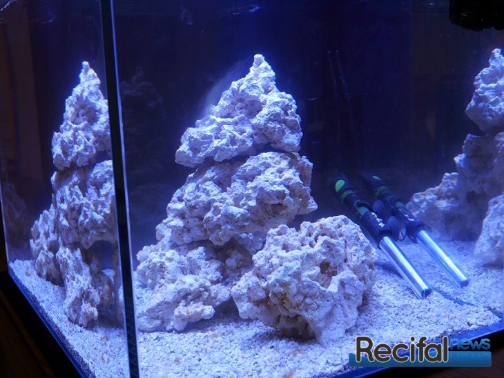 ADA aquarium récifal marin ADA