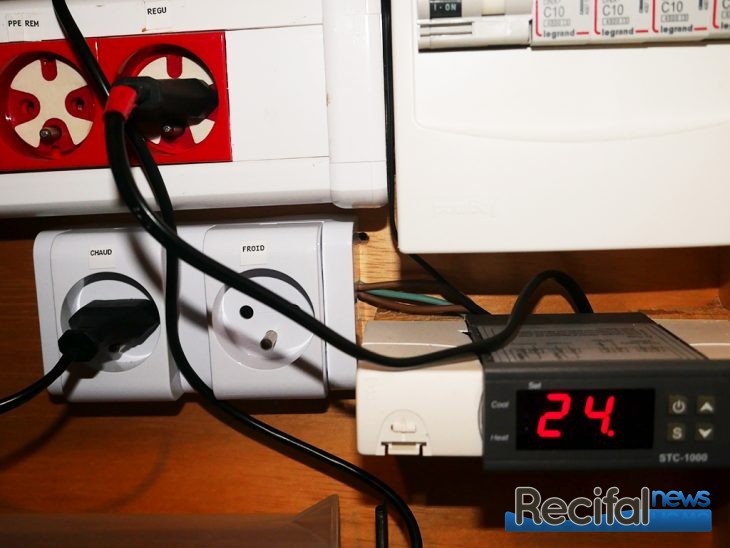 ADA aquarium récifal marin thermostat