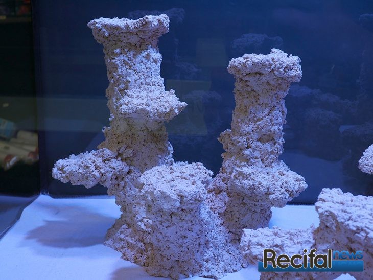 PM Reef Ceramic