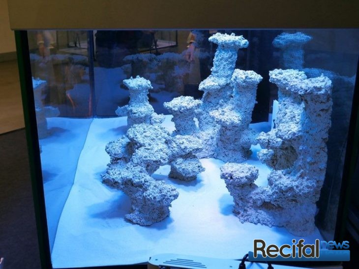 PM Reef Ceramic