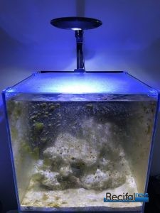 Démarrage de l'aquarium Blue Marine 125