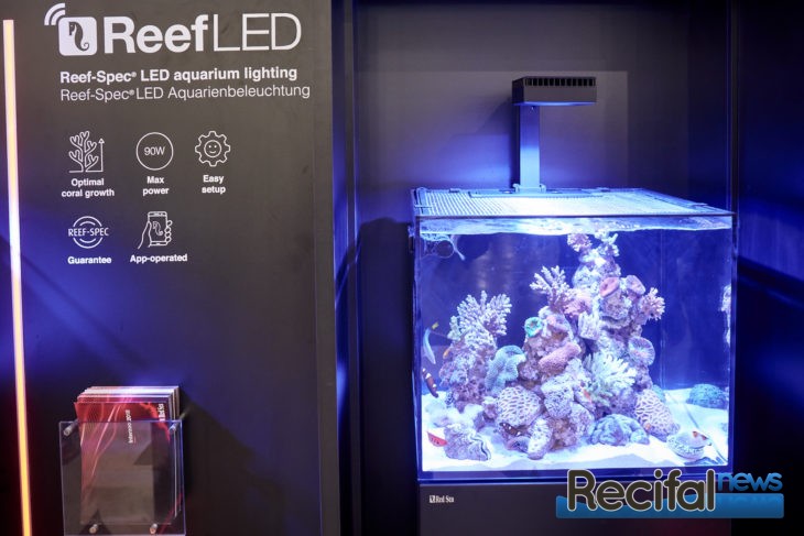 Pompe de brassage pour aquarium ReefWave® 45 RedSea - 45 watts