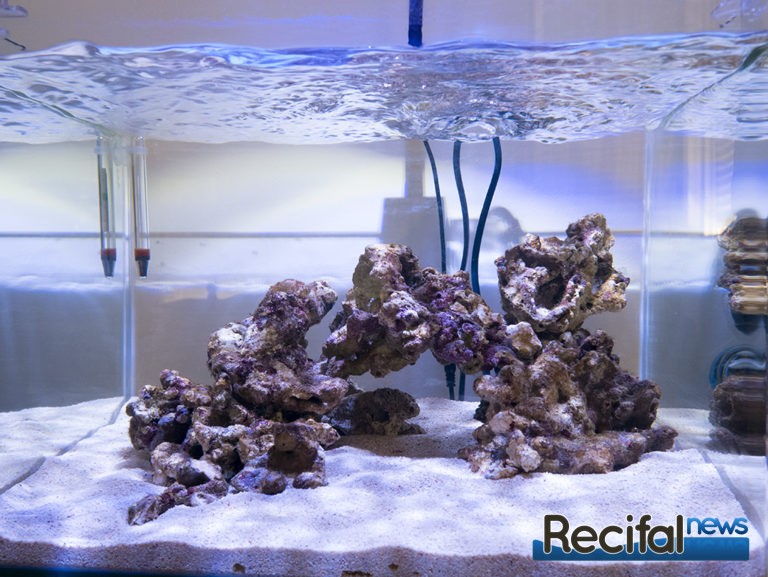 Vlog 2 Axel démarrer un aquarium récifal nano pas cher Récifal News
