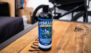 Vibrant underwater creations