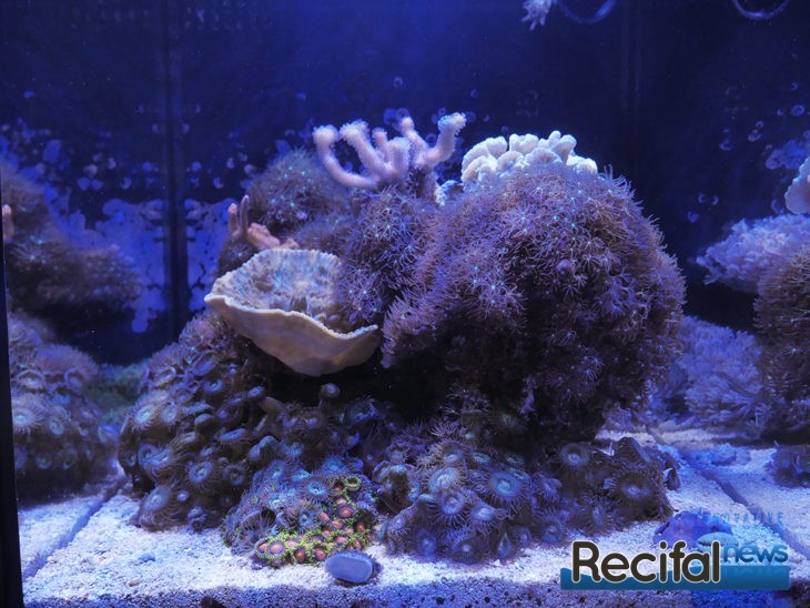 innovative marine fusion nano 10