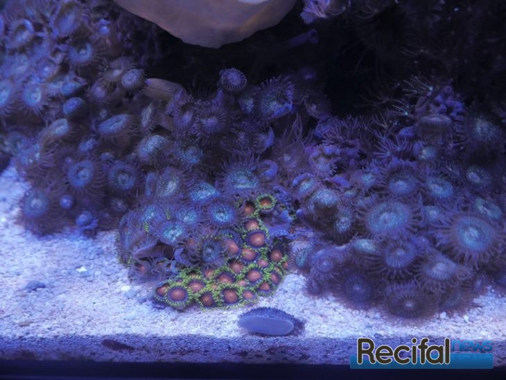 innovative marine éclairage