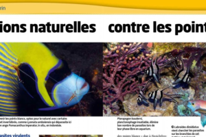 aquarium à la maison 128 BA BA bac marin lutte points blancs
