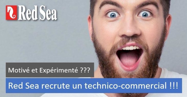 offre d'emploi commercial Red Sea