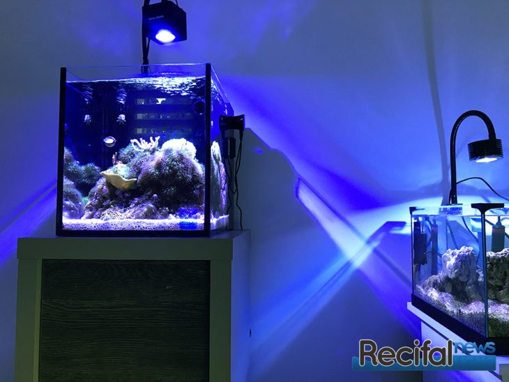 10 questions aquariophilie