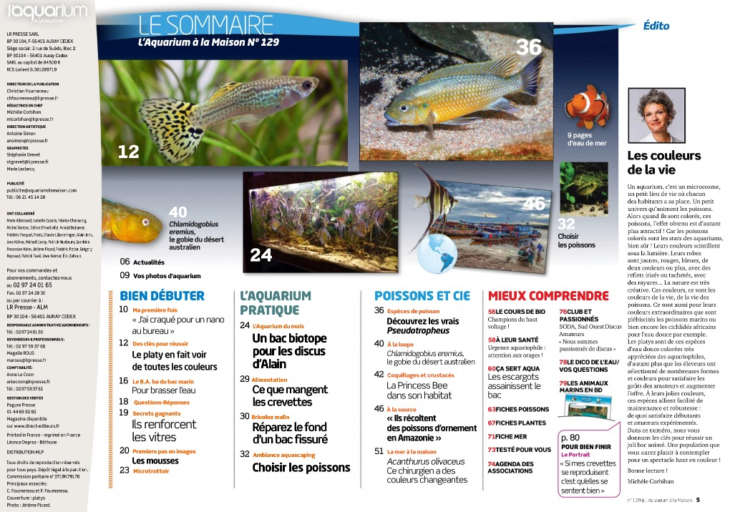 aquarium à la maison 129