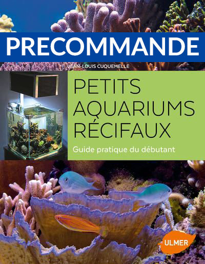 Aquarium récifal et passion des aquariums récifaux