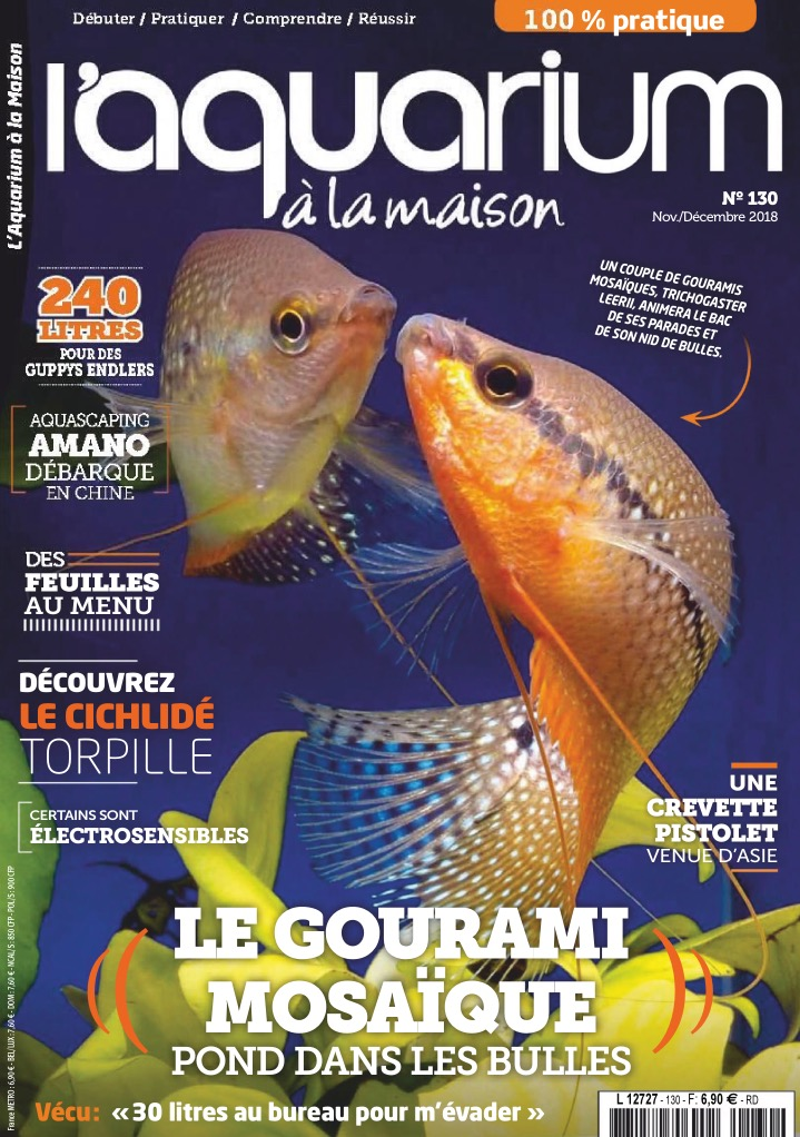 aquarium à la maison 130 couverture