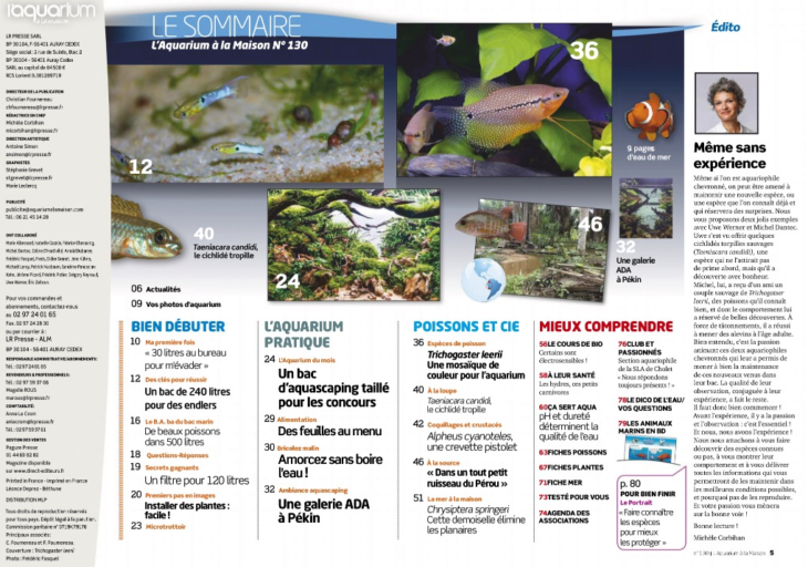 aquarium à la maison 130 sommaire